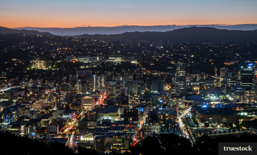 Aerial Wellington Harbour view