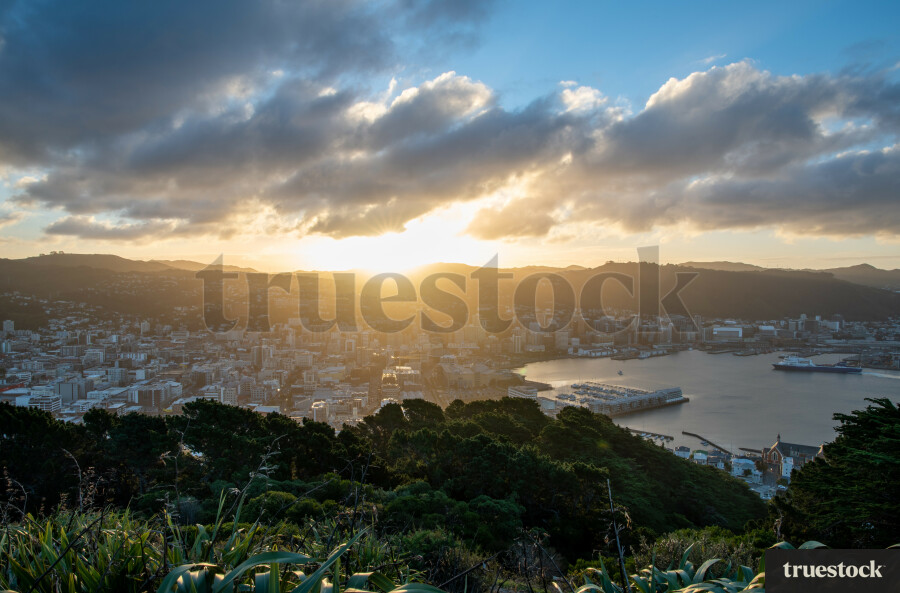 Aerial Wellington Harbour view