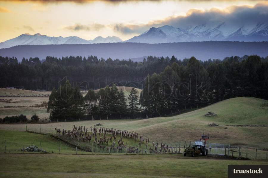 Farmland With Mountains Behind