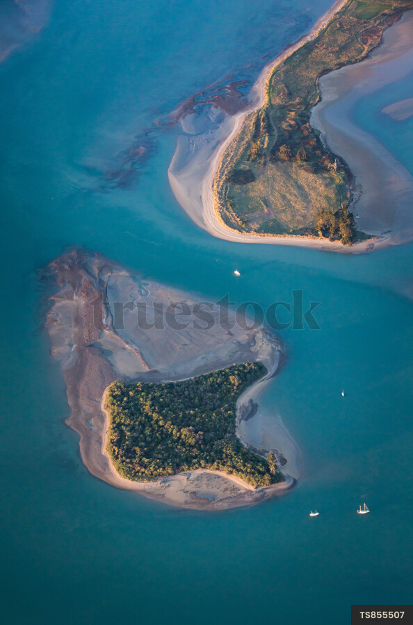 Nelson Coastal Landscape