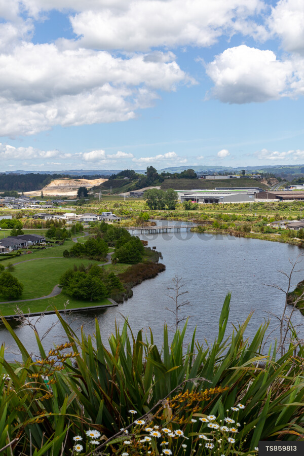 Tauranga Suburban Landscapes