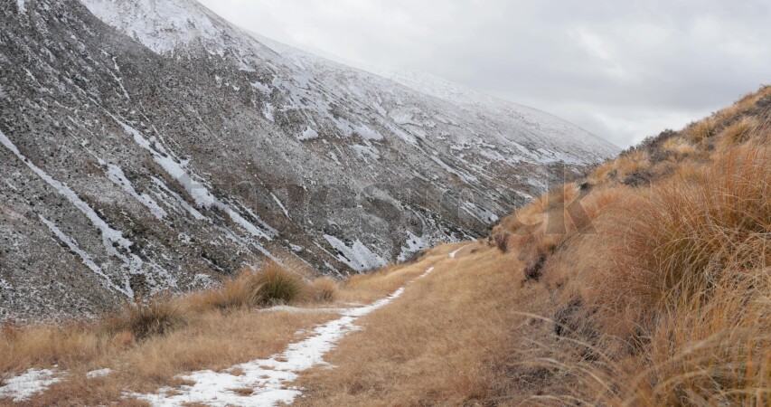 Mountain Biking at Lake Ohau