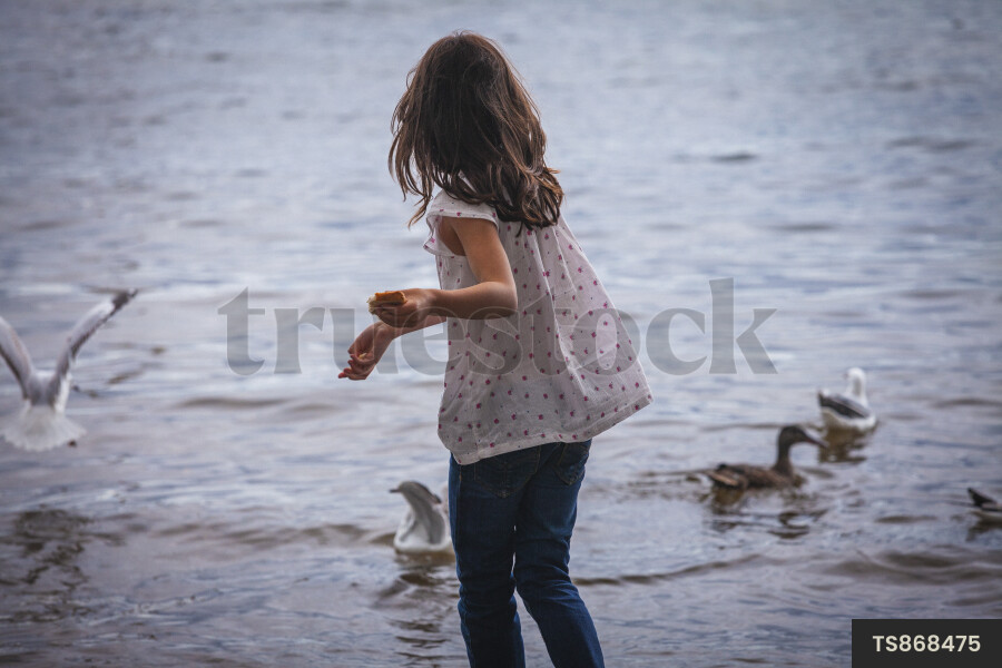 Young Girl Feeding Seagulls