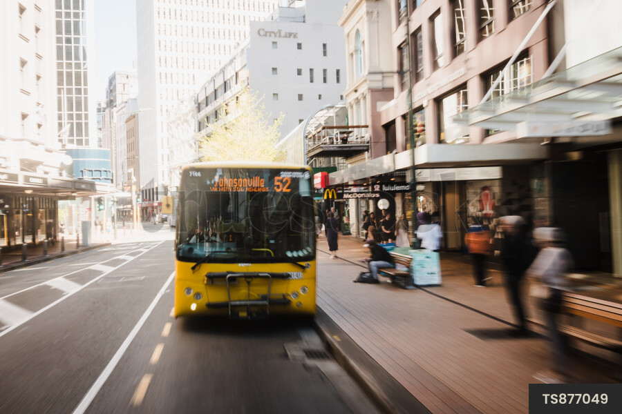 public-transport-in-wellington-by-danny-rood-truestock