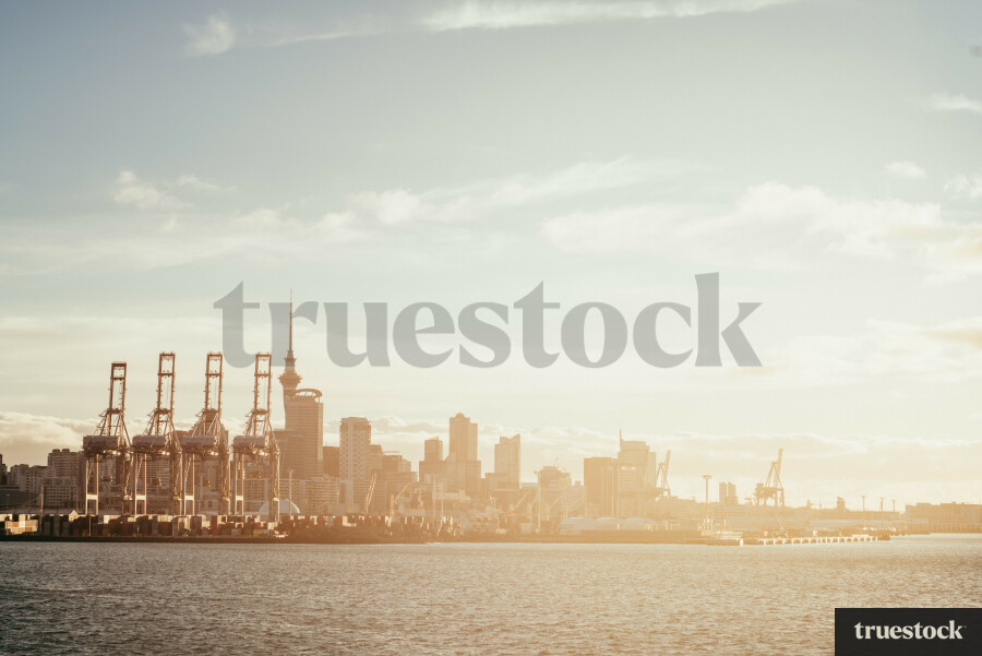 Auckland City Skyline
