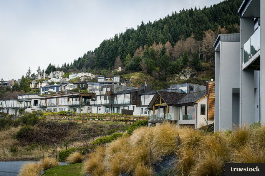Queenstown Suburban Landscape