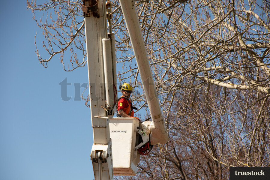 Worker in Lift