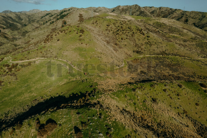 Farmland in the Hurunui District