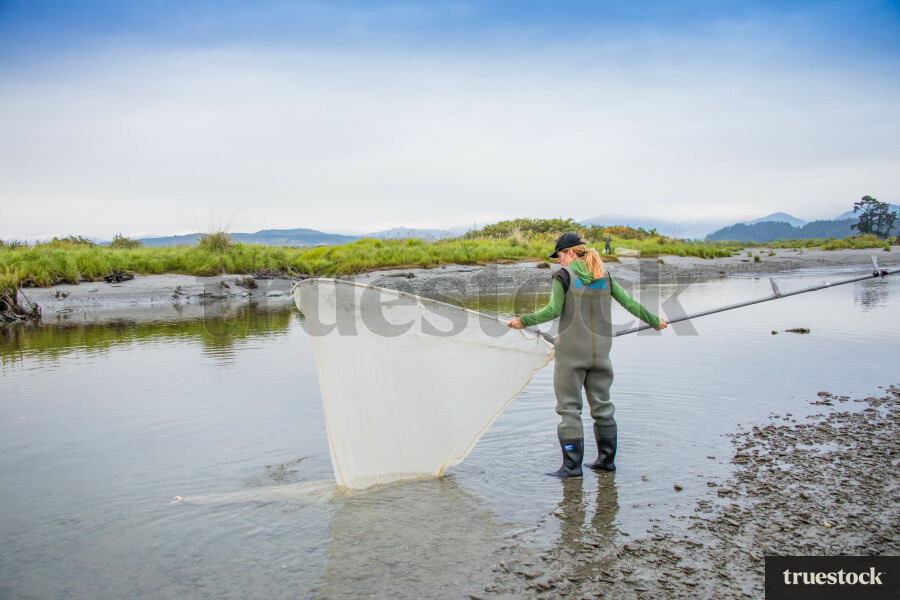 Whitebaiting on the West Coast
