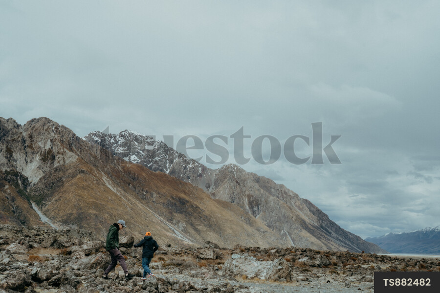 Queenstown Landscape