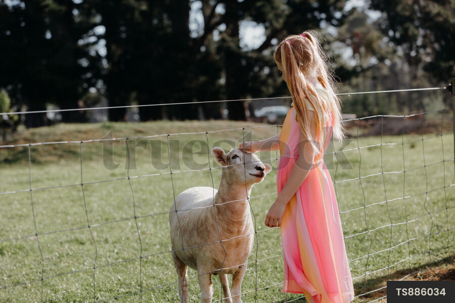 Young Girl With Sheep