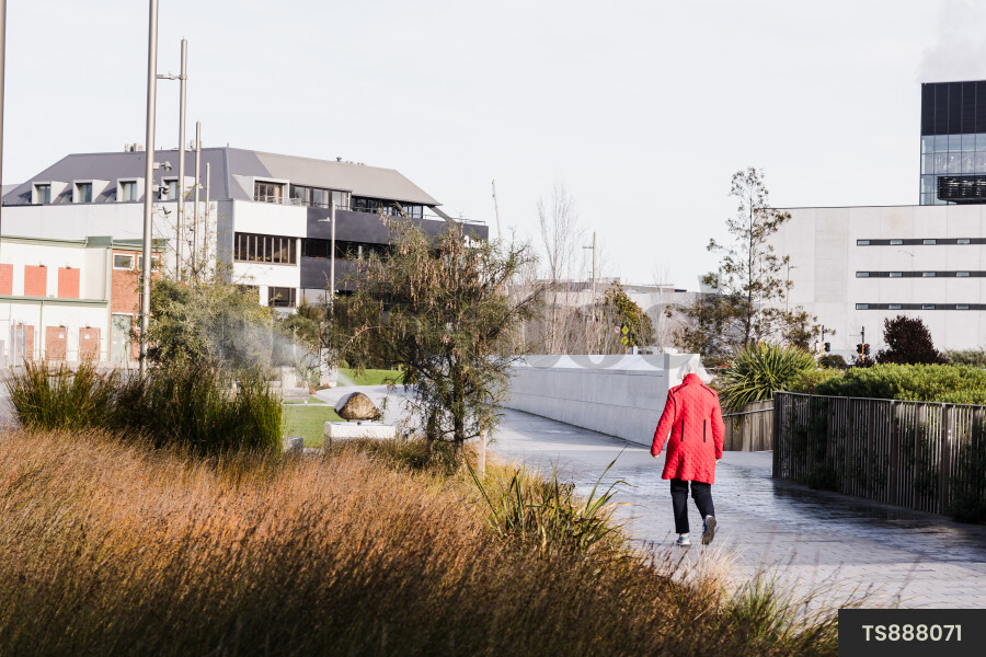 Back view of woman walking on footpath in city