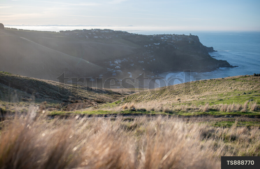 Coastline at Godley Head, Canterbury
