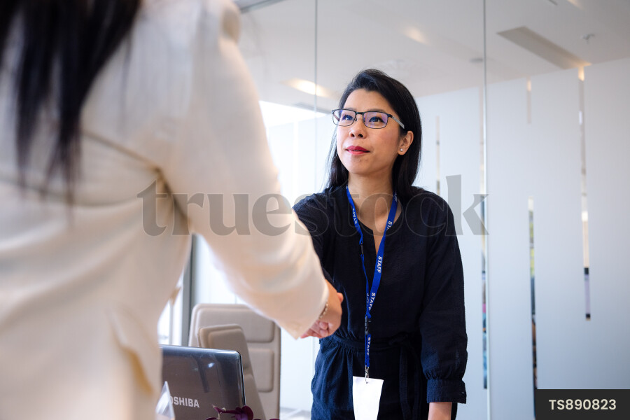 Colleagues Shaking Hands