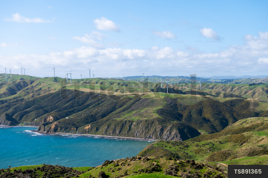 Makara West Wind Farm by sea in Wellington