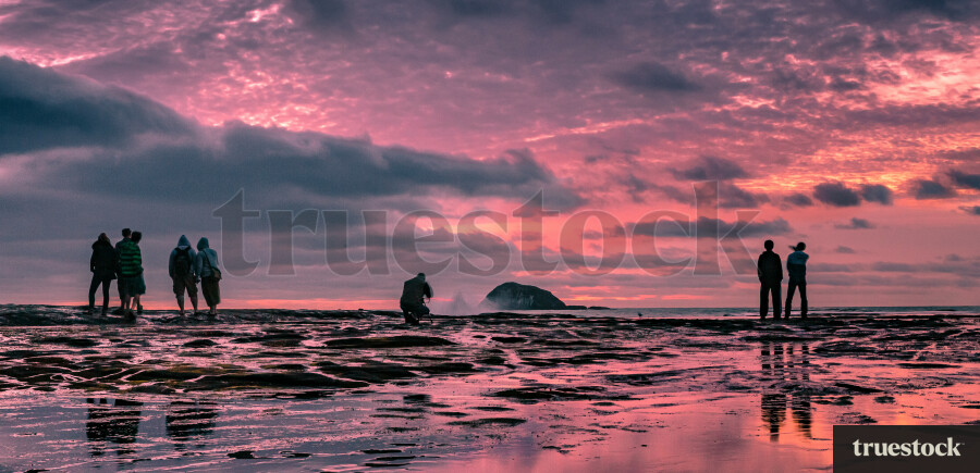 Muriwai beach at sunset with waves crashing