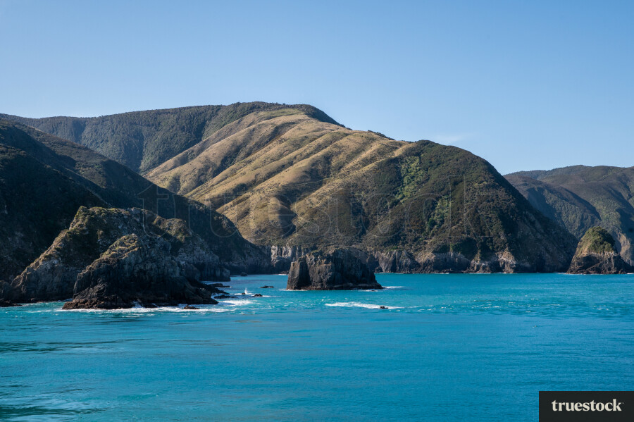 Cook strait