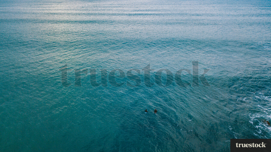 Surfers waiting for a wave