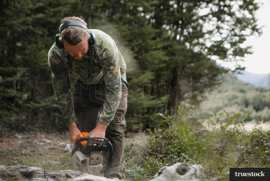 Man Cutting Wood with a Chainsaw