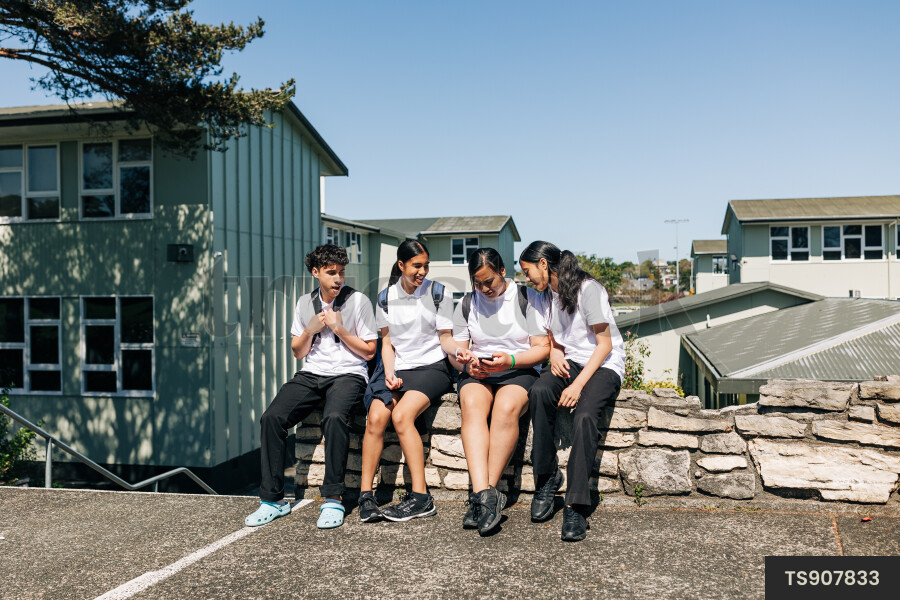 Group of Friends at School