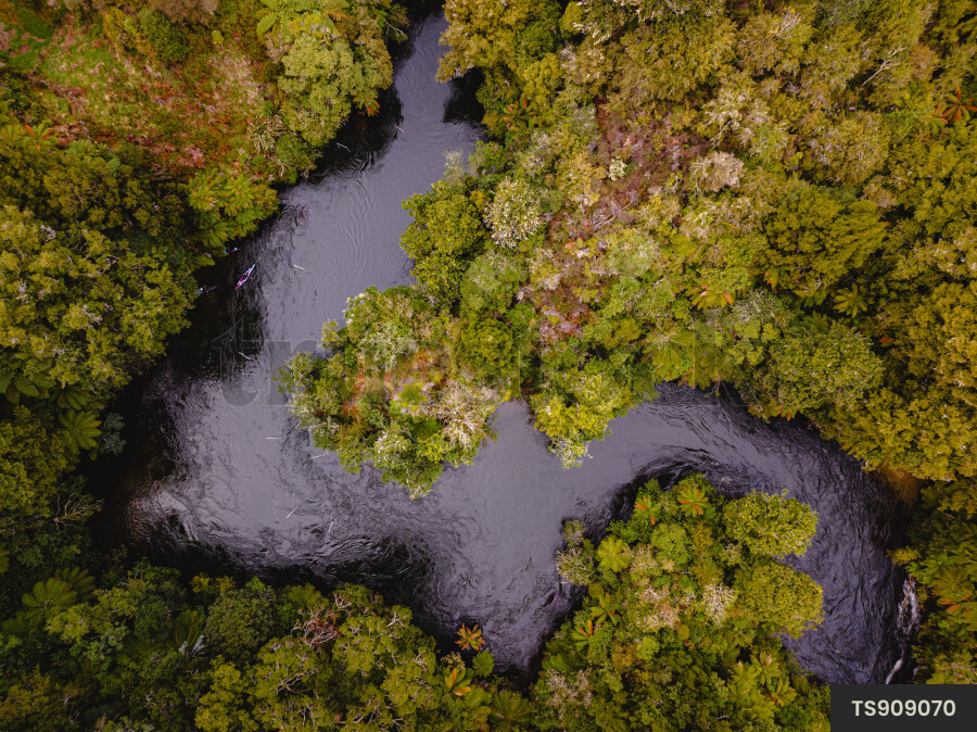 Kaituna River Landscape