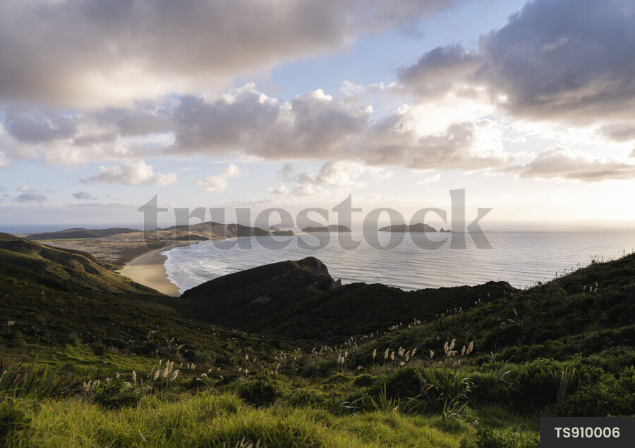 Beach Landscape