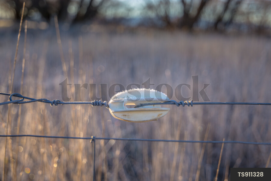 Close-up of fence and field