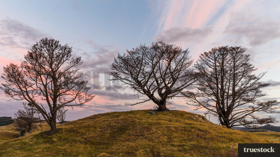 Grass hills at Kai Iwi lakes