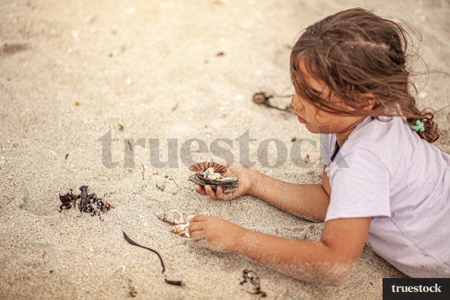 Child lying in the sand collecting shells at the beach