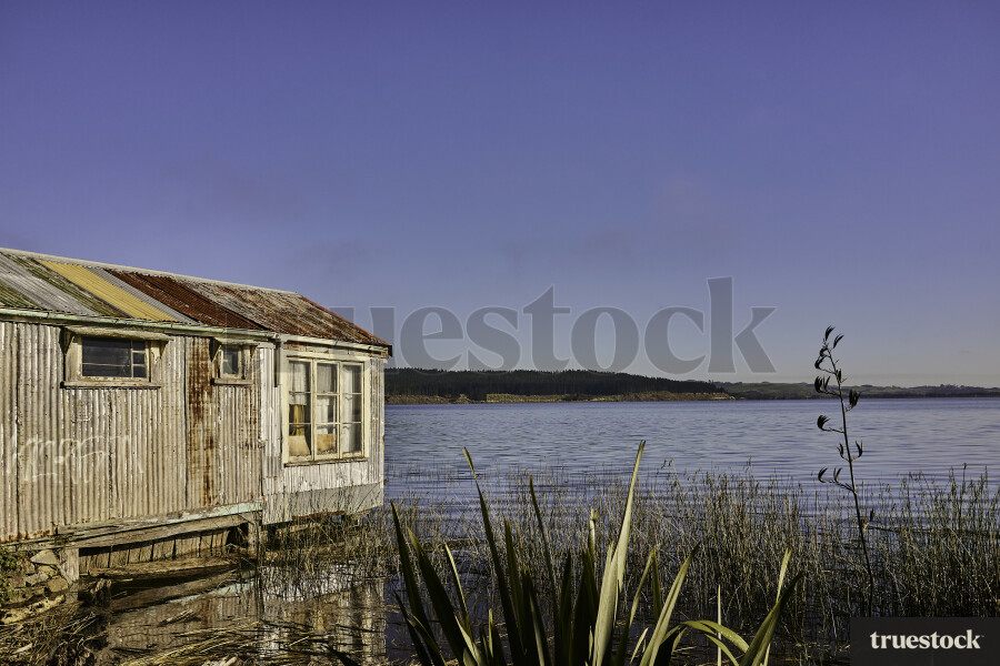 Boat Shed in Port Waikato