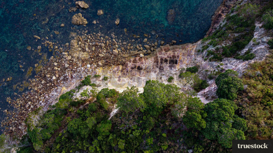 Shoreline From Above
