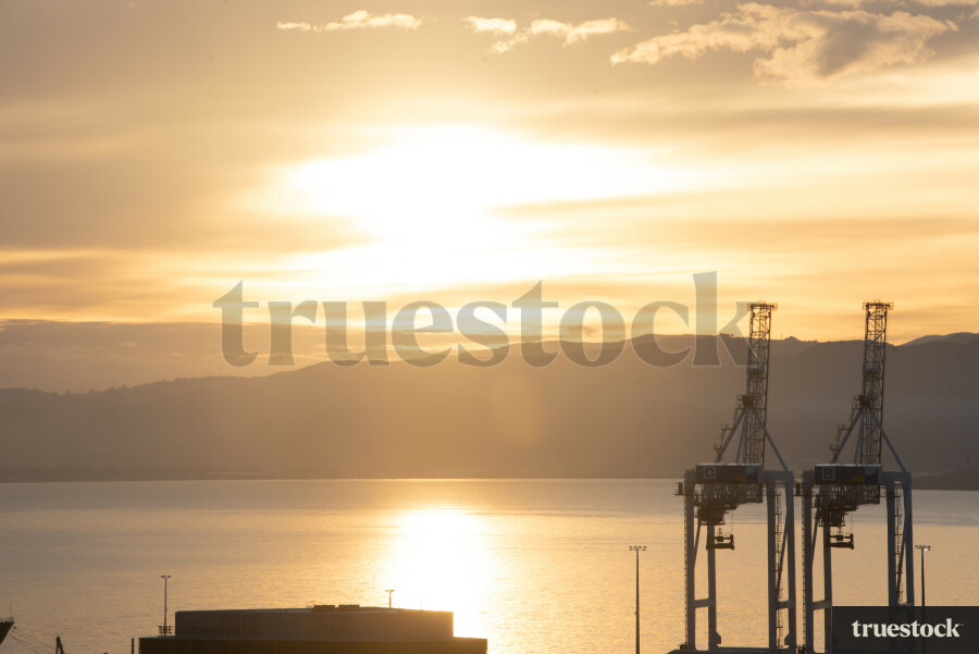 Wellington harbour port during sunset with container cranes