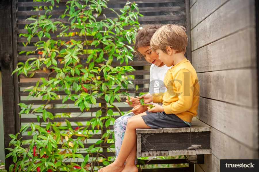 Children sitting on a ledge outdoors holding leaves