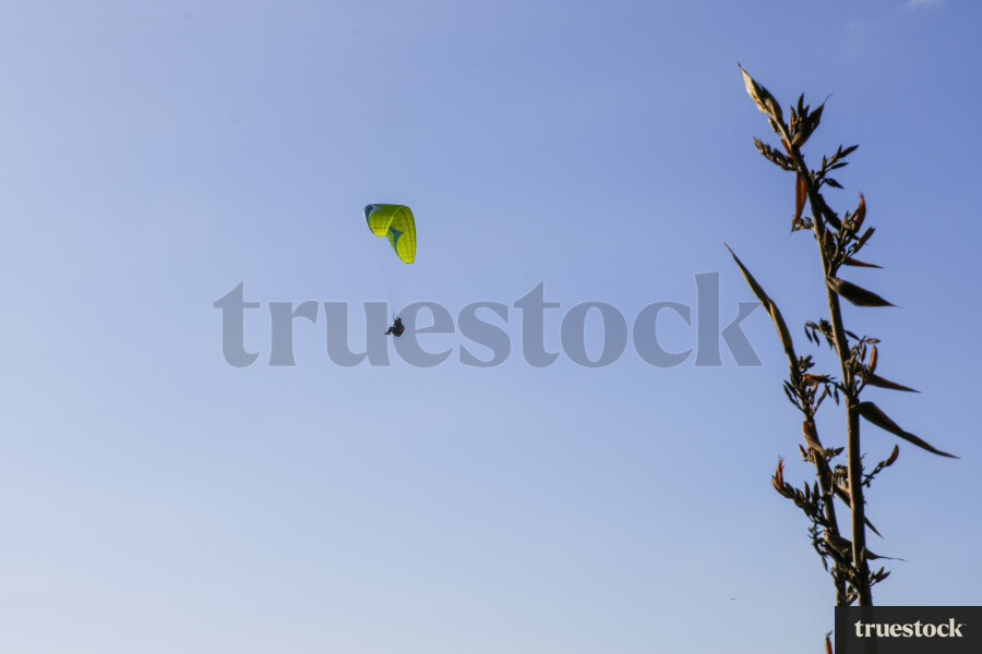 Paraglider in the sky