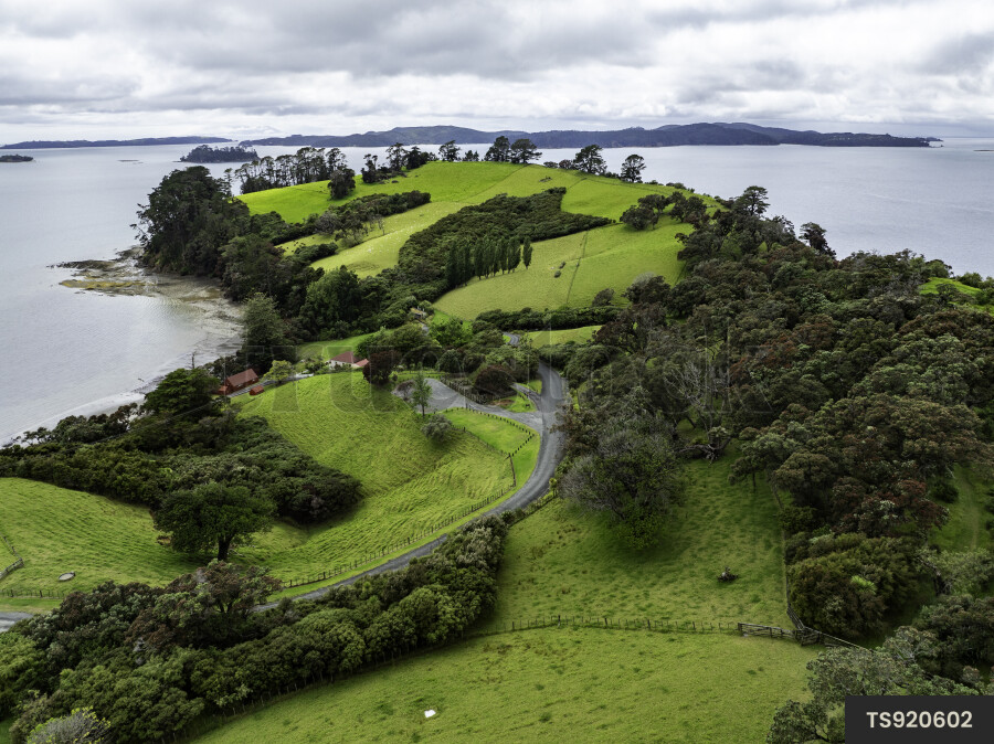 Mahurangi Landscape