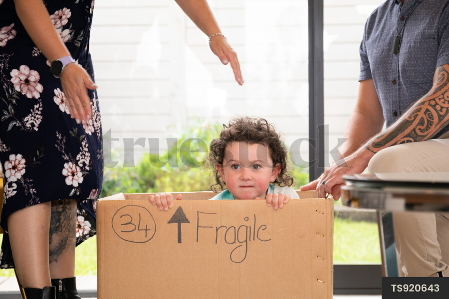 Girl playing in cardboard box with parents