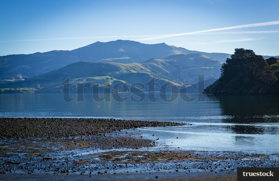 Christchurch Lake Landscape