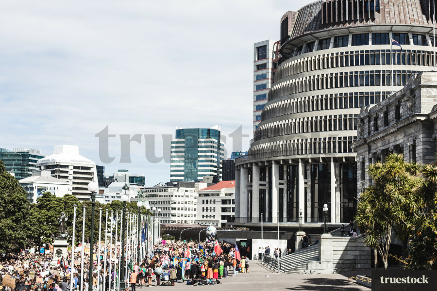Crowd at New Zealand Parliament Beehive in Wellington