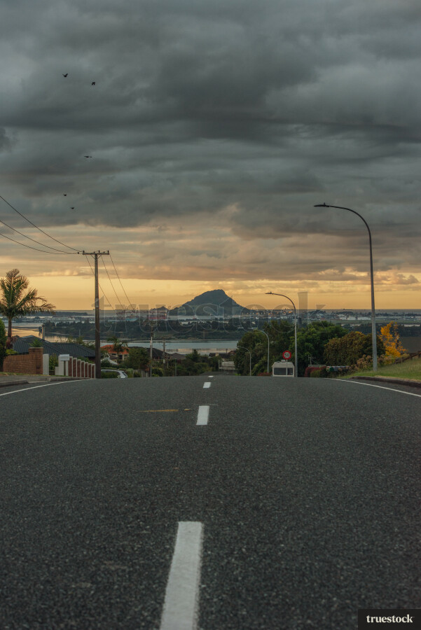 Suburban street in Tauranga