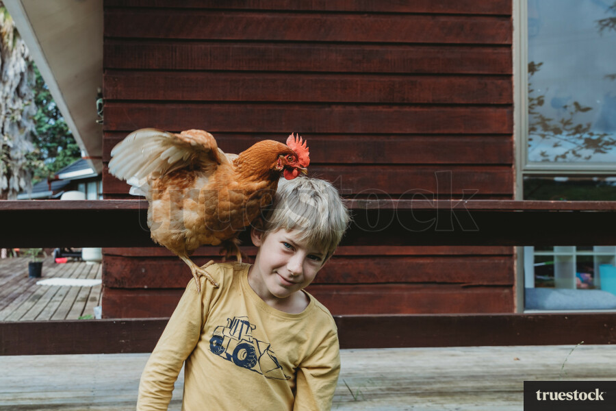 Boy and chicken