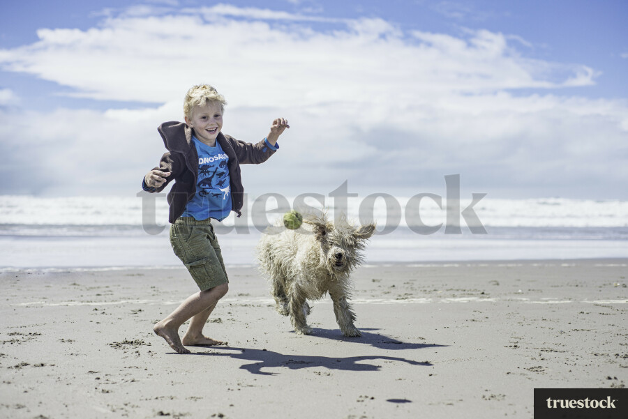 Kid Playing with Dog on Beach