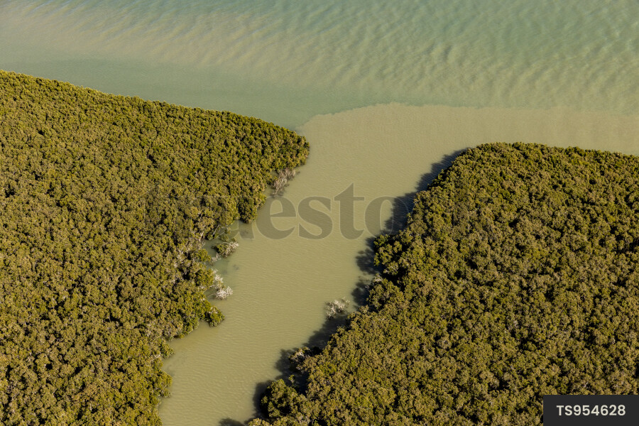 Aerial view of Kaipara Harbour