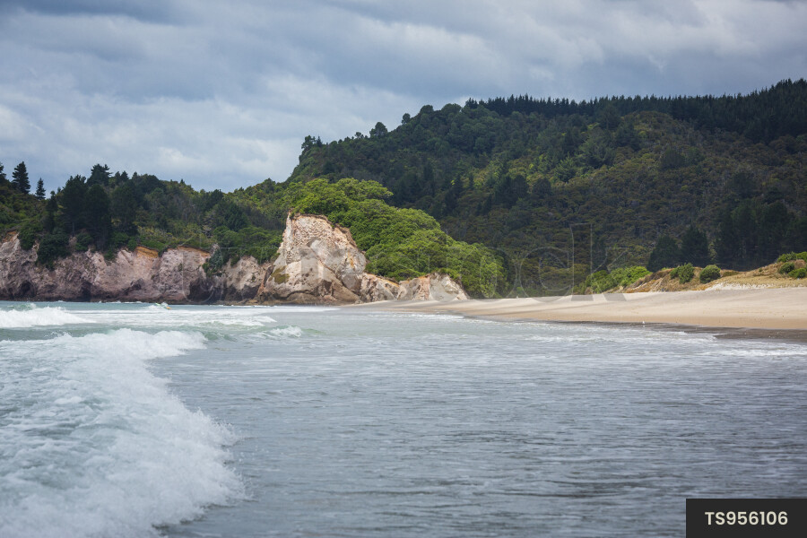 Beach in Whiritoa