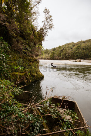 Wood boat on riverbank through forest