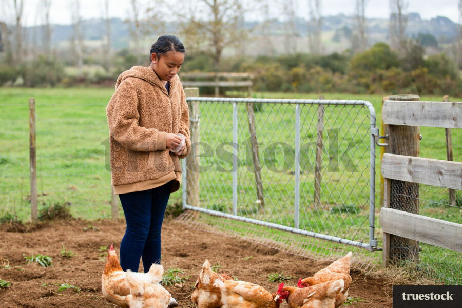 Girl Feeding Chickens