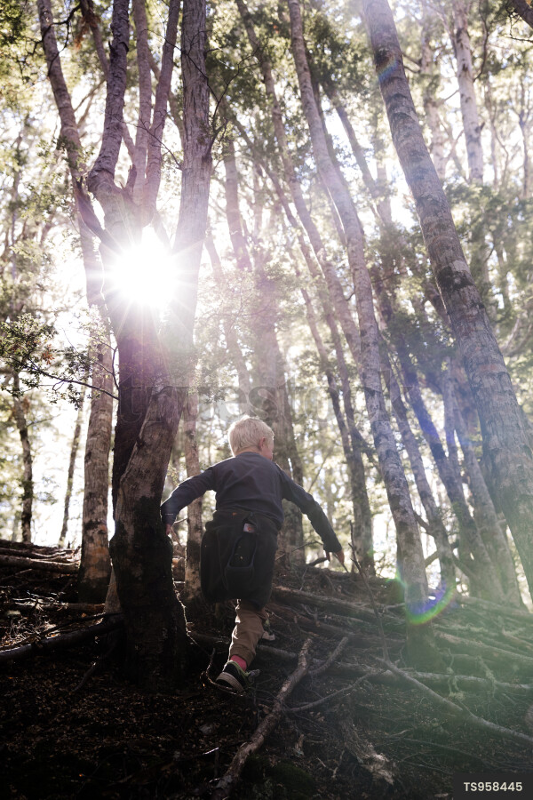 Boy walking through forest under sunlight in Southern Alps