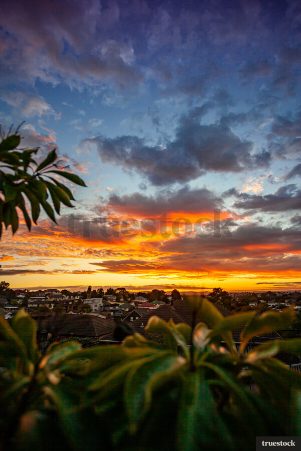 Orange and pink sunset in a suburban area