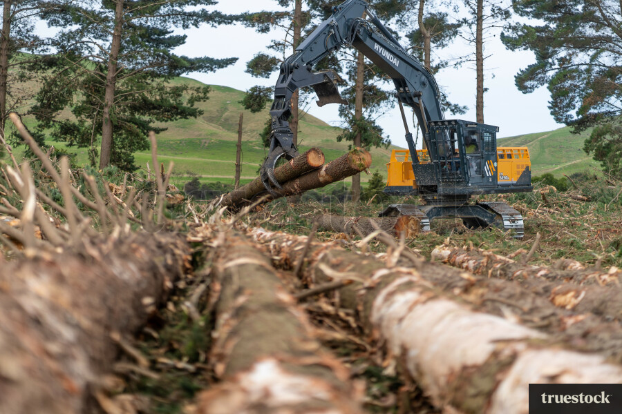 Heavy Machinery in Forestry