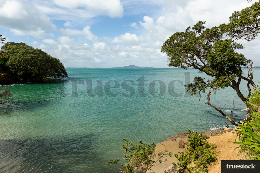 Teen Boys on Swing as Beach