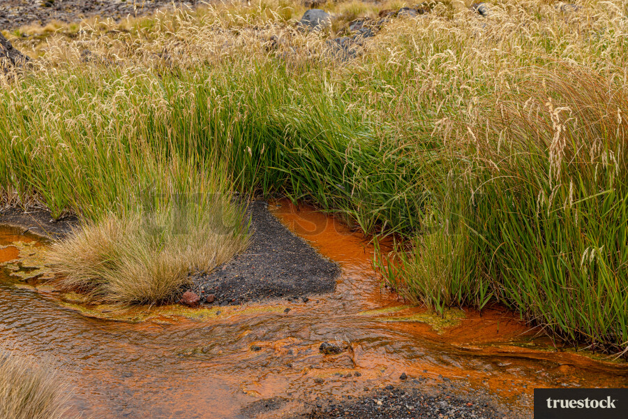 Tongariro Alpine Crossing